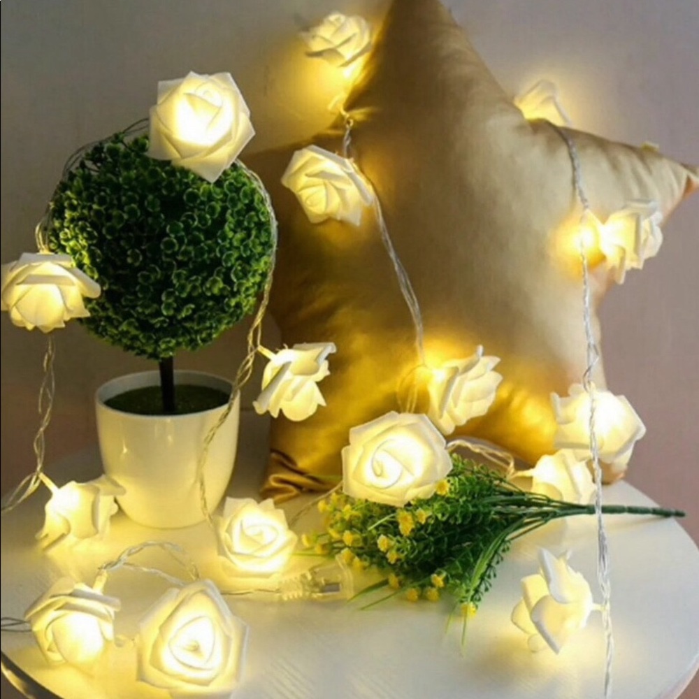ROSE STRING FAIRY LIGHTS